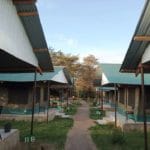 Masai Mara safari camp