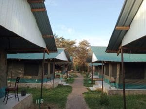 Masai Mara safari camp