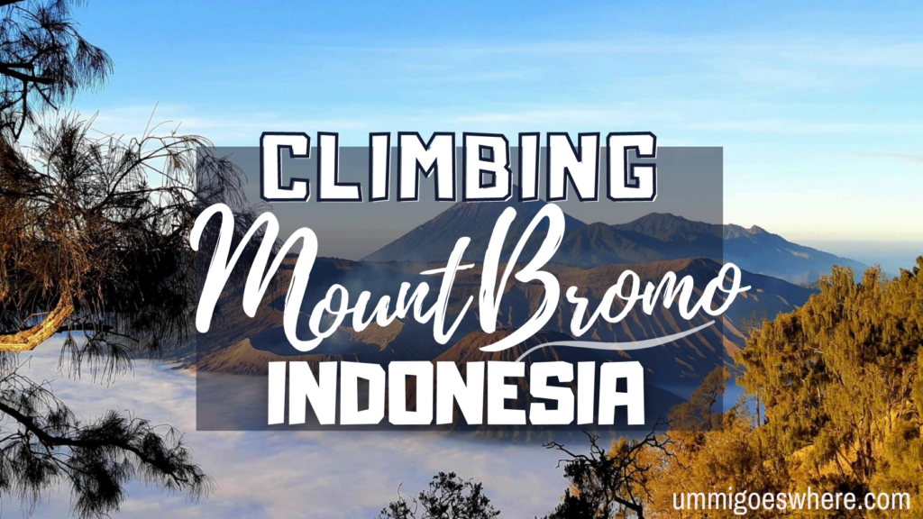 Climbing Mount Bromo, Indonesia (and Getting Soaked With Muddy Rain ...