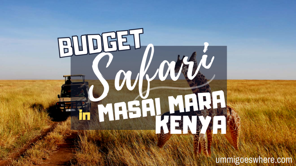 Budget Safari in Masai Mara, Kenya | Ummi Goes Where?