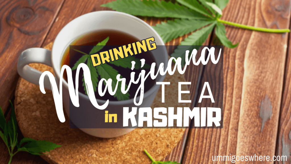 Drinking Marijuana Tea in Kashmir | Ummi Goes Where?