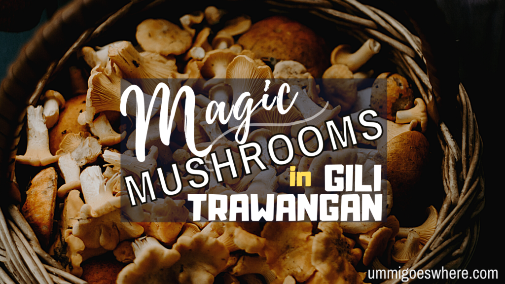 A Beginner's Guide to Magic Mushrooms in Gili Trawangan | Ummi Goes Where?