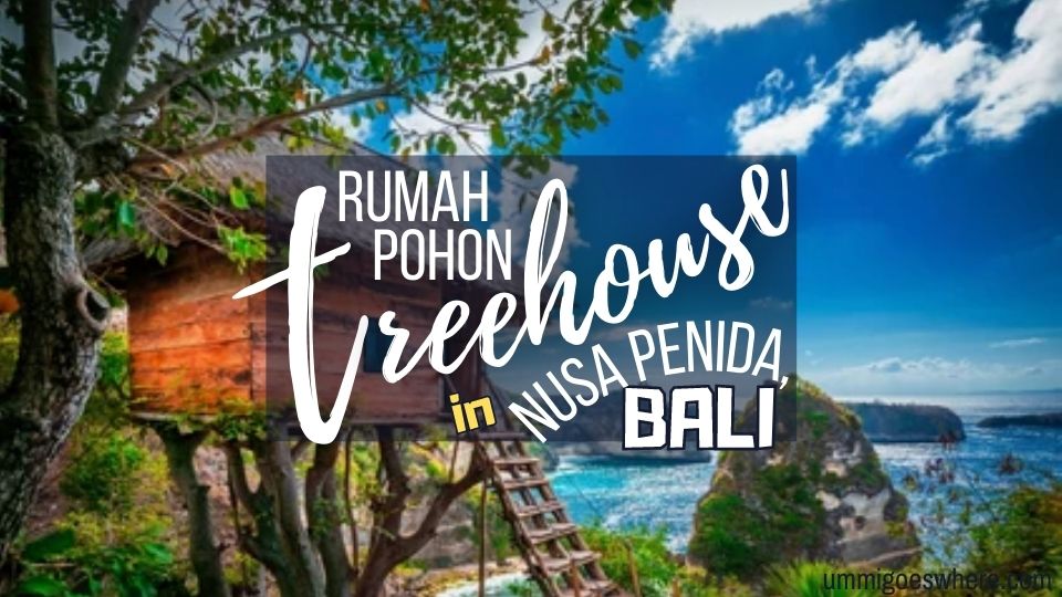 Rumah pohon treehouse nusa penida