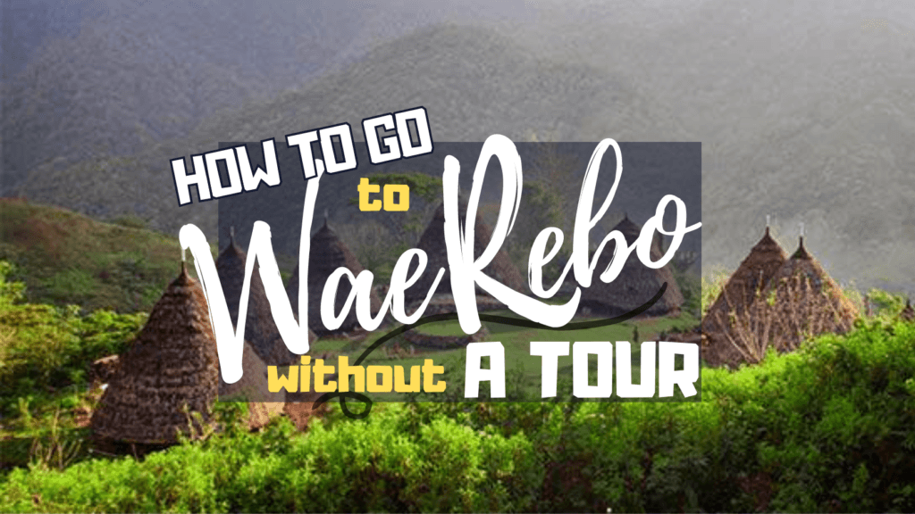 How to Go to Wae Rebo without A Tour | Ummi Goes Where?