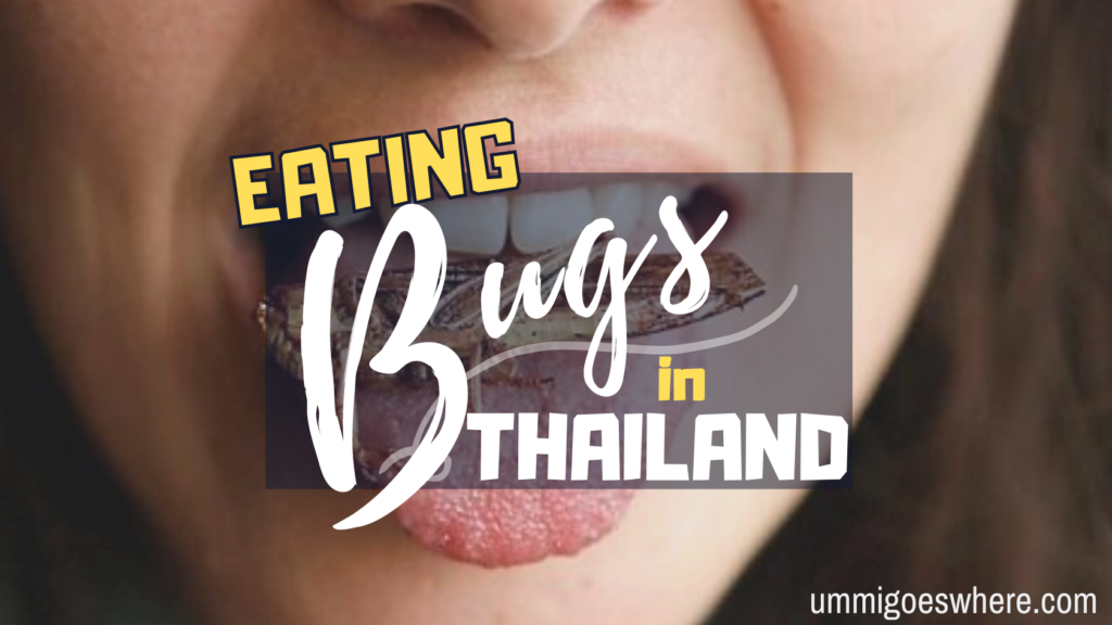Eating Bugs in Thailand | Ummi Goes Where?