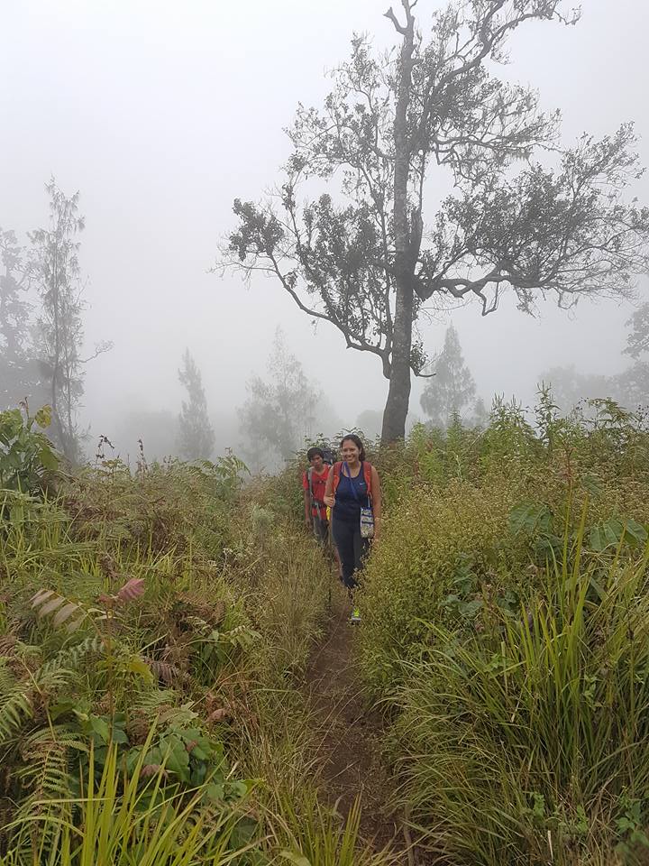 Misty grasslands on Mount Rinjani