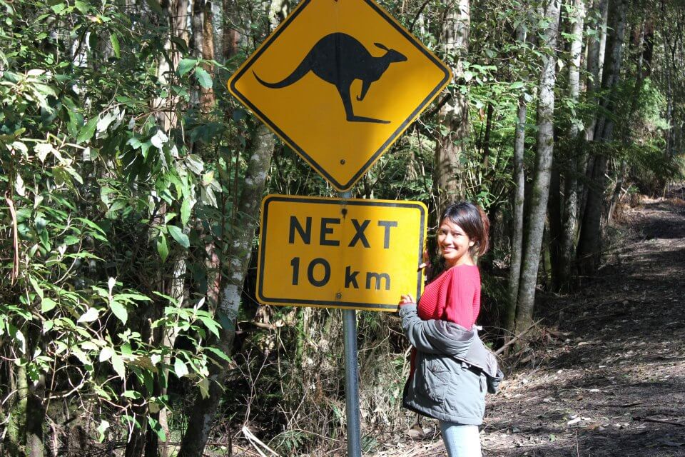 Kangaroo sign on the Great Ocean Road