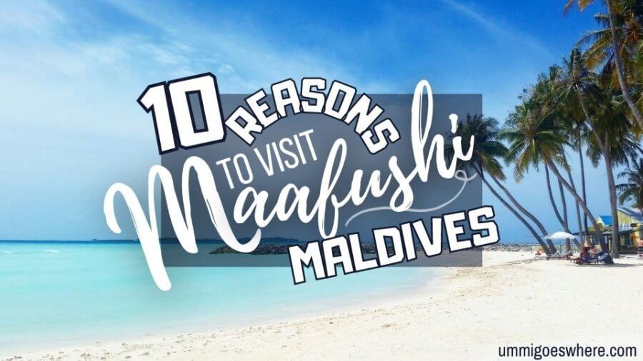 10 Reasons to Visit Maafushi Maldives