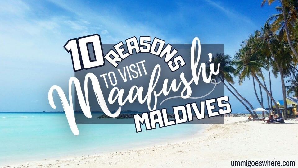 10 Reasons to Visit Maafushi Maldives
