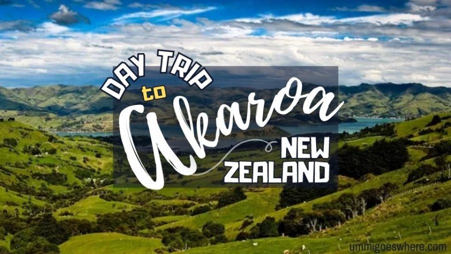 Akaroa New Zealand day trip from Christchurch