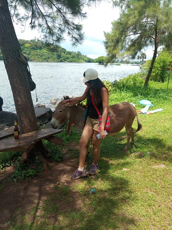 Girl with Donkey on grass. Lake in background