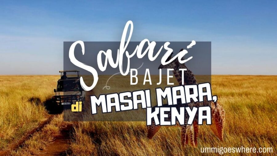 Safari Murah di Kenya