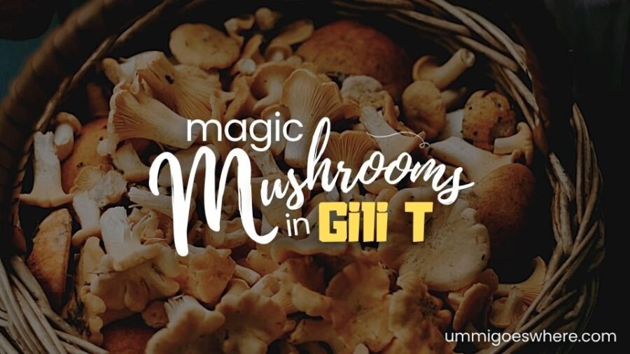Trying Magic Mushrooms in Gili Trawangan: What It’s Really Like