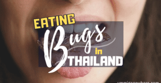 Eating Bugs in Thailand | Ummi Goes Where?